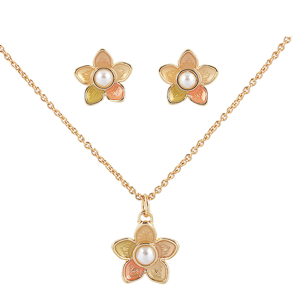 Coach earrings and necklace online
